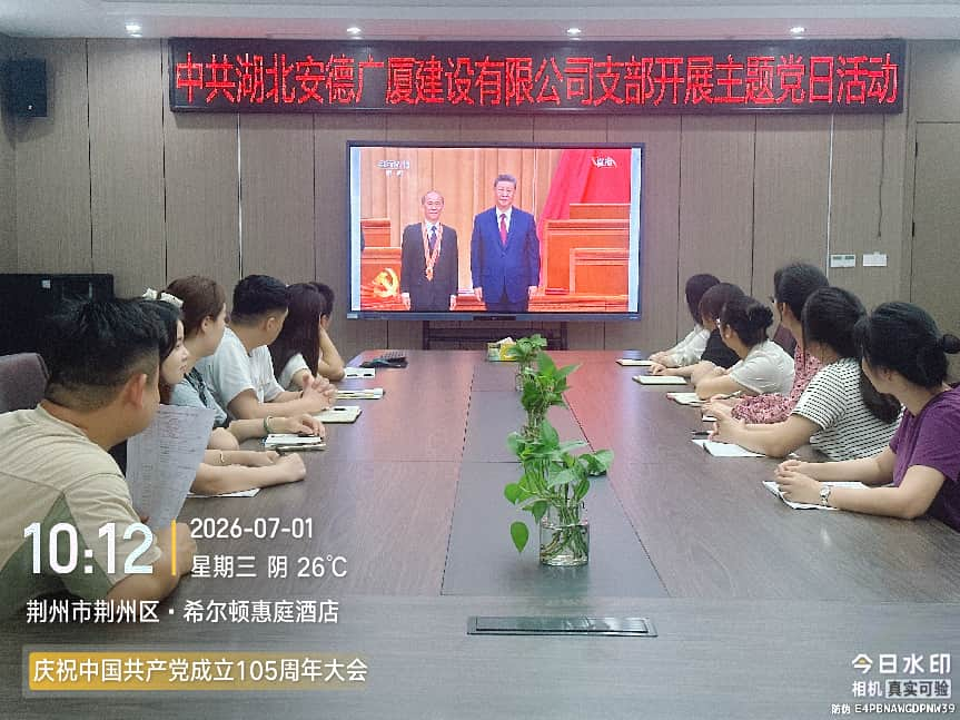 无图片